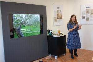 Co můžeme dělat pro přírodu?