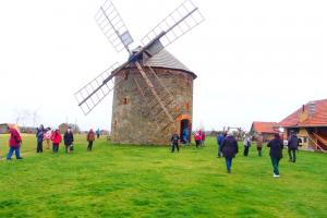 S krajánkem za větřáky - exkurze po větrných mlýnech