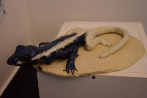 Výstava výtvarných prací ZUŠ Boskovice