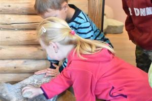 Mezinárodní den archeologie