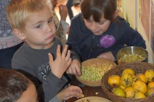 Mezinárodní den archeologie