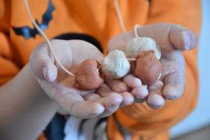 Mezinárodní den archeologie