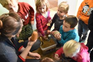 Mezinárodní den archeologie