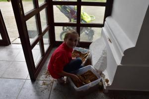 Mezinárodní den archeologie