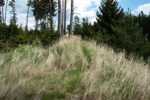 hradiště Velké Opatovice
