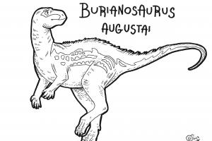 Burianosaurus augustai