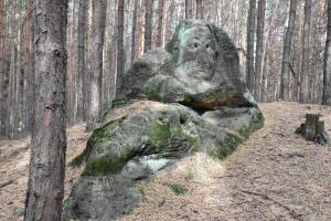 Archeologická procházka v okolí Hradiska u Velkých Opatovic
