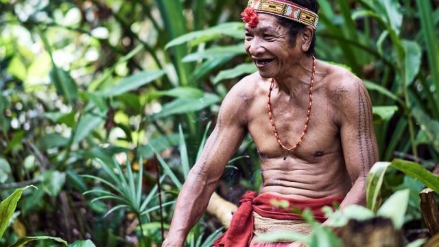 Výstava fotografií Jana Harnoše: Příroda a lidé Siberutu