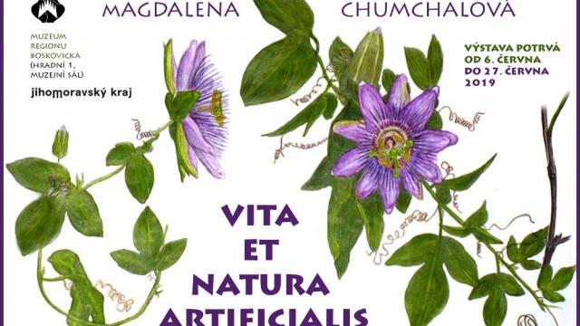 Magdalena Chumchalová: Vita et natura artificialis