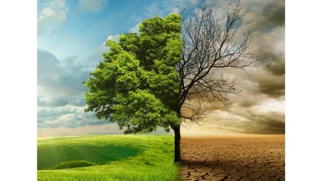 Zažíváme změny klimatu