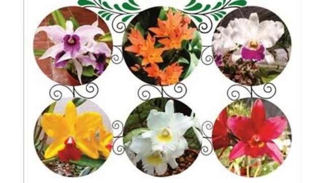 Mezigenerační centrum - České stopy v Argentině