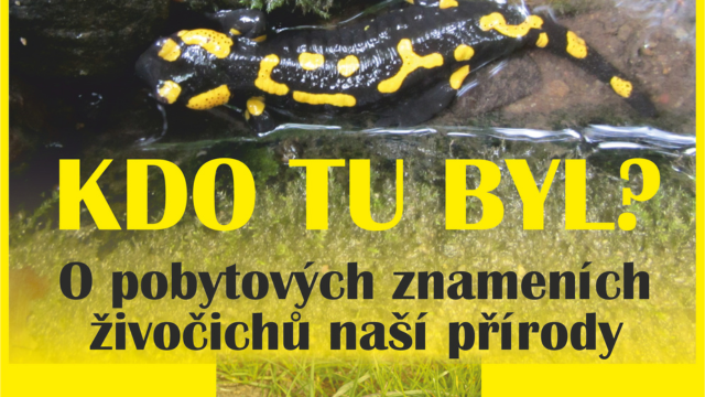 Kdo tu byl?