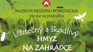 Užitečný a škodlivý hmyz na zahrádce